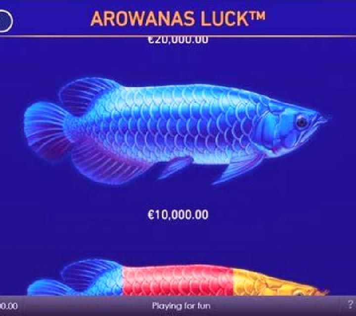 Arowanas Luck slot