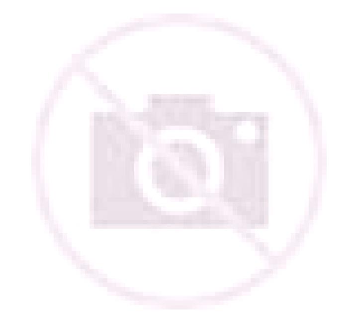 Video Roulette (Playtech) slot